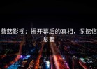 蘑菇影视：揭开幕后的真相，深挖信息差